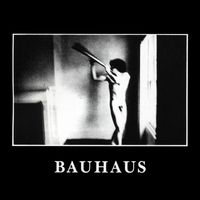 Cover des Albums In The Flat Field von Bauhaus