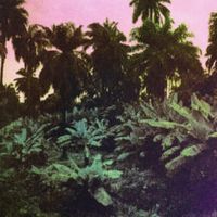 Cover des Albums Ceremony von The Dead Sound