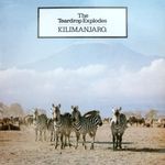 The Teardrop Explodes - Kilimanjaro