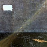 Desperate Journalist - In Search of the Miraculous