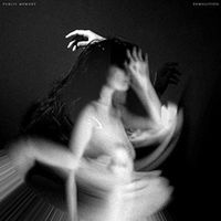 Cover des Albums 'Demolition' von Public Memory