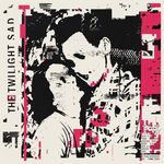 the Twilight Sad - it won't be like this all the time