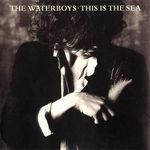 the Waterboys - this is the Sea